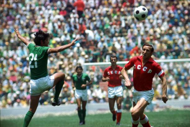 使他不仅能 使他不仅能